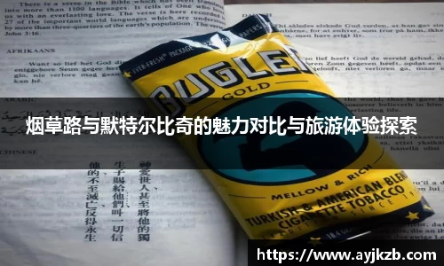 烟草路与默特尔比奇的魅力对比与旅游体验探索